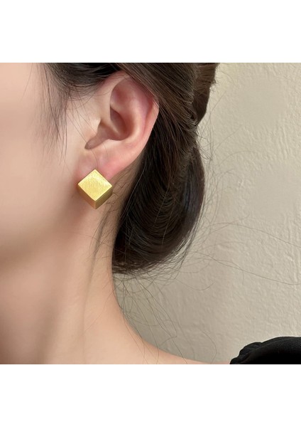 Niş Mizaç Metal Trendi Tasarım Küpeleri (Yurt Dışından) fiyatları