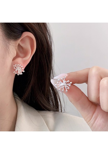 Niş Mizaç Metal Trendi Tasarım Küpeleri (Yurt Dışından) fiyatları