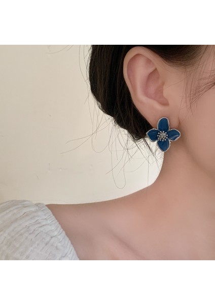 Niş Mizaç Metal Trendi Tasarım Küpeleri (Yurt Dışından) fiyatları