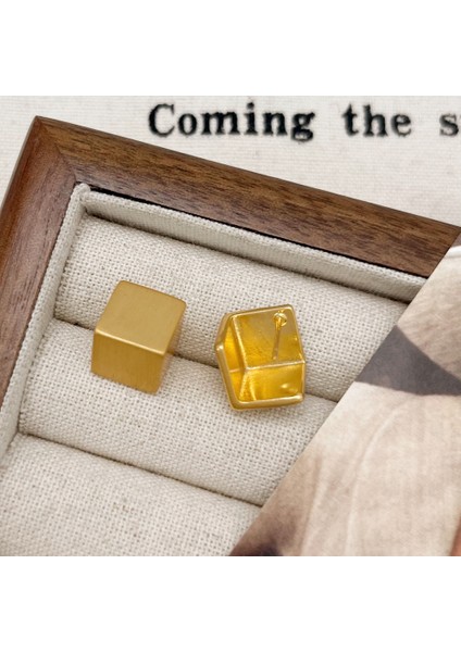 Düzensiz Küpeler Niş Trend Moda Kişilik Küpeler Kadın (Yurt Dışından)