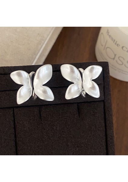 Niş Mizaç Trendi Banliyö Küpeleri (Yurt Dışından)