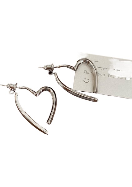 Niş Mizaç Trendi Banliyö Küpeleri (Yurt Dışından)