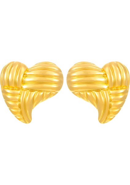 Avrupa ve Amerika Birleşik Devletleri Modası Vahşi Kişilik Paslanmaz Çelik Küpeler Kadın Geometrik Küpeler Saplama Küpeler (Yurt Dışından)