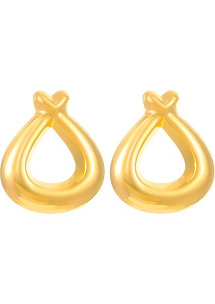 Avrupa ve Amerika Birleşik Devletleri Modası Vahşi Kişilik Paslanmaz Çelik Küpeler Kadın Geometrik Küpeler Saplama Küpeler (Yurt Dışından)