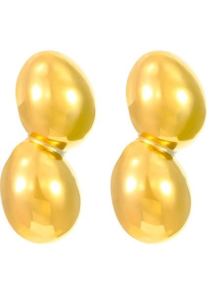 Avrupa ve Amerika Birleşik Devletleri Modası Vahşi Kişilik Paslanmaz Çelik Küpeler Kadın Geometrik Küpeler Saplama Küpeler (Yurt Dışından)