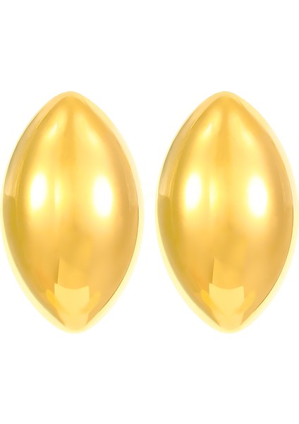 Avrupa ve Amerika Birleşik Devletleri Modası Vahşi Kişilik Paslanmaz Çelik Küpeler Kadın Geometrik Küpeler Saplama Küpeler (Yurt Dışından)