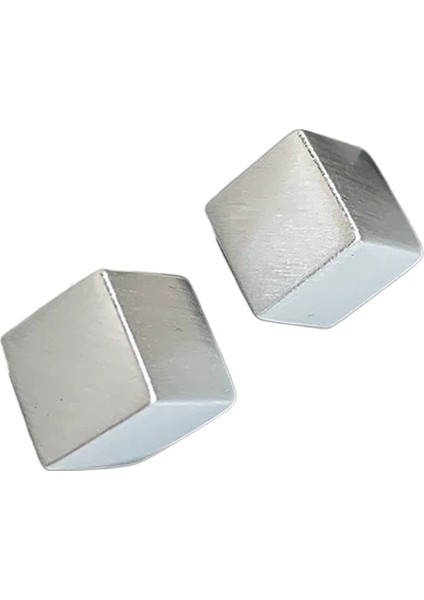 Niş Mizaç Metal Trendi Tasarım Küpeleri (Yurt Dışından)