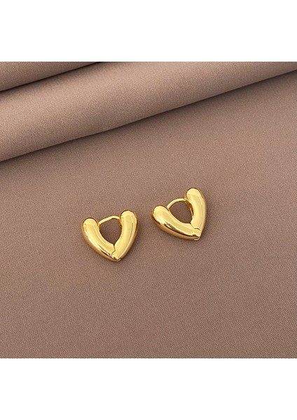 Niş Mizaç Trendi Banliyö Küpeleri (Yurt Dışından)