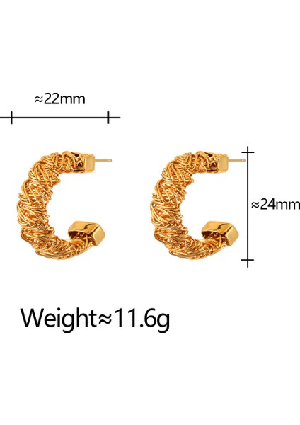 Niş Mizaç Trendi Banliyö Küpeleri (Yurt Dışından) fiyatları