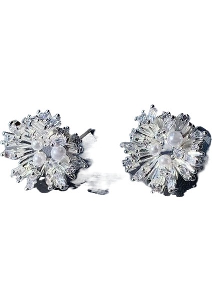 Niş Mizaç Trendi Banliyö Küpeleri (Yurt Dışından)