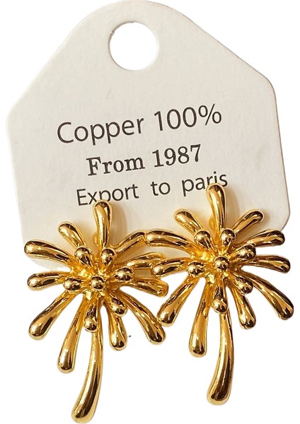 Niş Mizaç Trendi Banliyö Küpeleri (Yurt Dışından)