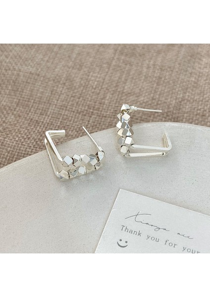 Niş Mizaç Trendi Banliyö Küpeleri (Yurt Dışından)