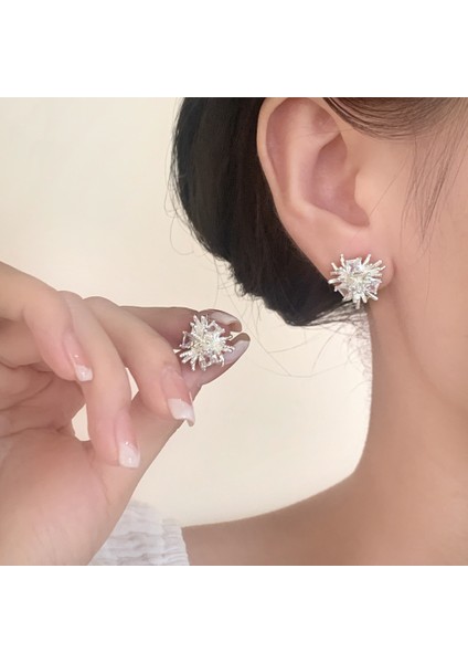 Niş Mizaç Metal Küpe Trendi Yüz Eşleşen Tasarım Kişilik Küpeleri (Yurt Dışından) fiyatları