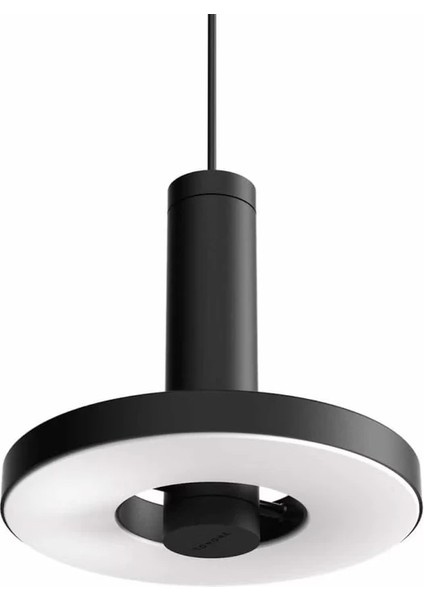 Normwich 20 cm Hareketli Dekoratif LED Sarkıt