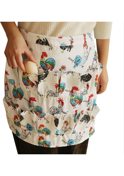 Mutfak Sanat Önlüğü Için Yumurta Saklama (Yurt Dışından)