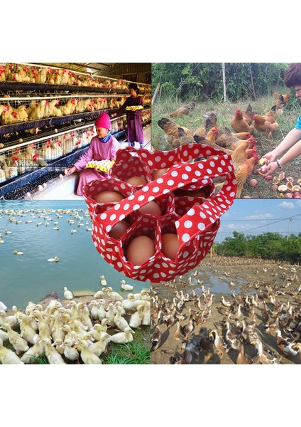 Ev Hanımı 9 Çanta Süpermarket Yumurta Toplama Çantası (Yurt Dışından) fiyatları