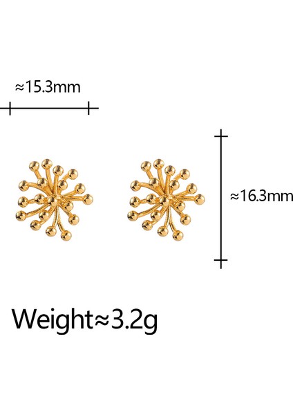 Niş Mizaç Metal Küpe Trendi Tasarım Küpeleri (Yurt Dışından)