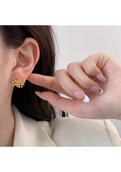 Niş Mizaç Metal Küpe Trendi Tasarım Küpeleri (Yurt Dışından) fiyatları