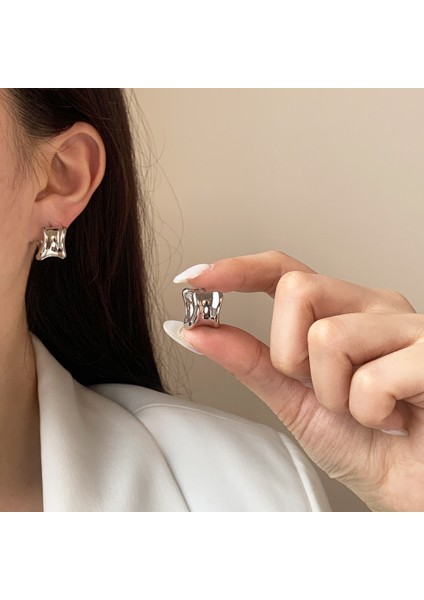 Niş Mizaç Küpe Trendi Banliyö Küpeleri (Yurt Dışından) fiyatları