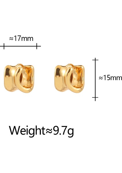Niş Mizaç Küpe Trendi Banliyö Küpeleri (Yurt Dışından) modelleri