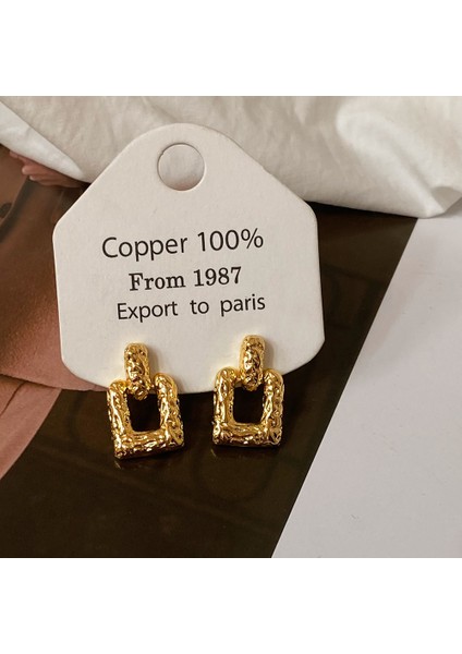 Niş Mizaç Metal Küpe Trendi Tasarım Küpeleri (Yurt Dışından)