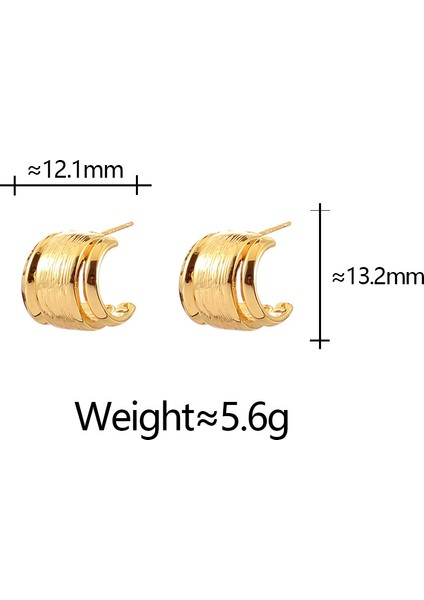 Niş Mizaç Metal Küpe Trendi Yüz Eşleşen Tasarım Kişilik Küpeleri (Yurt Dışından)