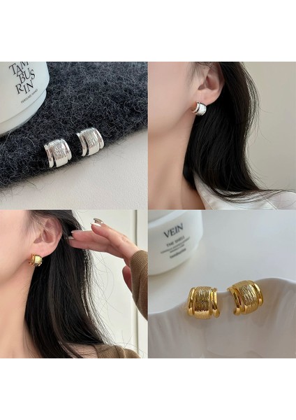 Niş Mizaç Metal Küpe Trendi Yüz Eşleşen Tasarım Kişilik Küpeleri (Yurt Dışından) fiyatları