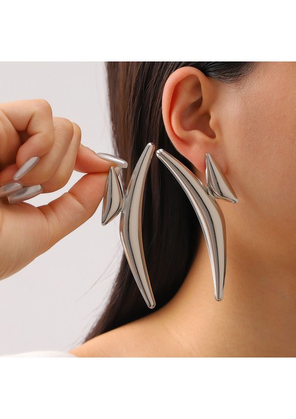 Kadın Düzensiz Şekilli Küpeler (Yurt Dışından)