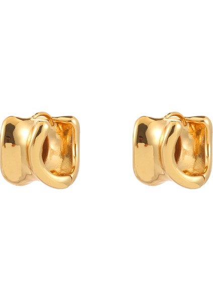 Niş Mizaç Küpe Trendi Banliyö Küpeleri ile Yüz (Yurt Dışından)