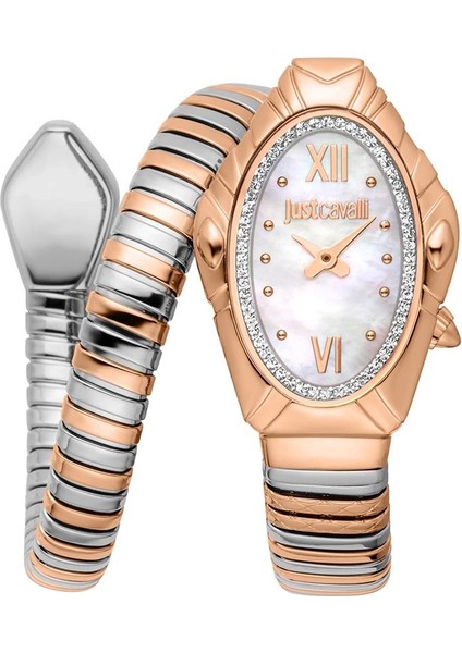 Just Cavallı JC1L357M0065 Kadın Kol Saati