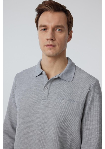 Gri Regular Armürlü Polo Yaka Triko