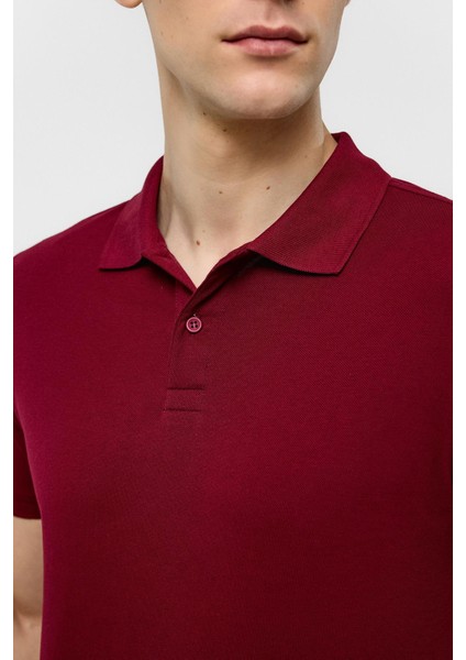 Koyu Bordo Slim Düz Polo Yaka Tişört fırsatları