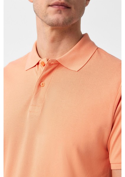 Sütlü Kahve Slim Fit Armürlü Polo Yaka Tişört modelleri