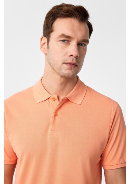 Sütlü Kahve Slim Fit Armürlü Polo Yaka Tişört fiyatları