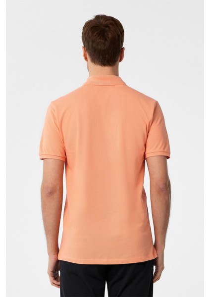 Sütlü Kahve Slim Fit Armürlü Polo Yaka Tişört indirimleri