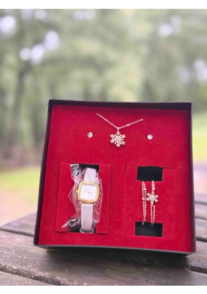 Kadın Saat Seti Wesscollection