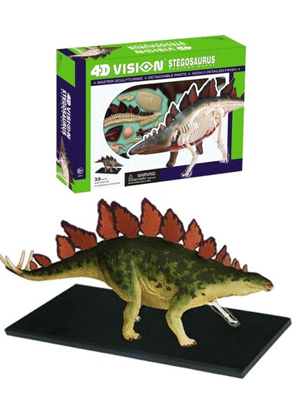 Vision Anatomi Modeli - Stegosaurus Dinozor fiyatları