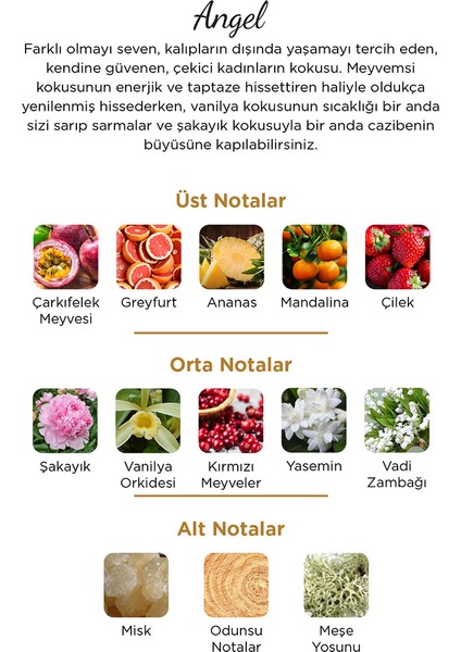Angel Kadın Parfümü 100ml modelleri
