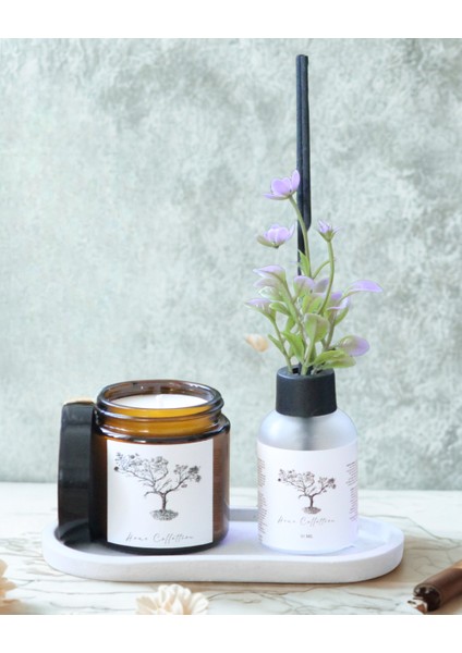 3lü Set Koku Giderici Oda Kokusu Okyanus 50 ml+ Amber Mum(Kokusuz) 100cc + Altlık