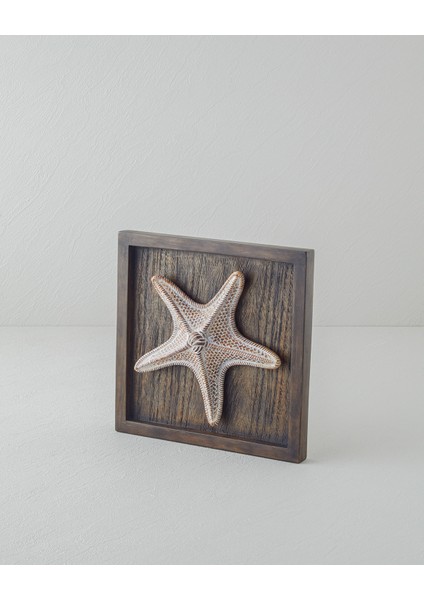 Sea Duvar Aksesuarı 25X25X5 cm Kahve
