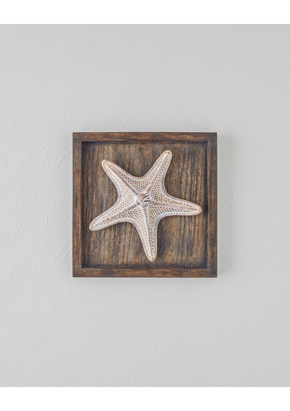 Sea Duvar Aksesuarı 25X25X5 cm Kahve fiyatları