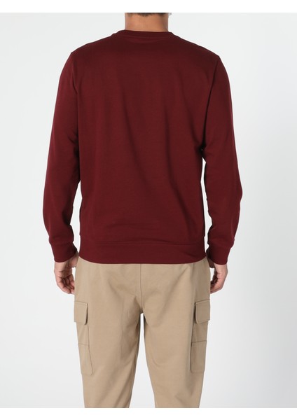 Regular Fit Erkek Kahverengi Sweatshirt fiyatları