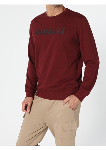 Regular Fit Erkek Kahverengi Sweatshirt modelleri
