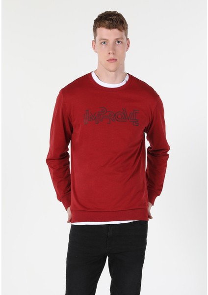 Regular Fit Erkek Kirmizi Sweatshirt modelleri