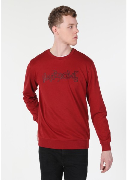 Regular Fit Erkek Kirmizi Sweatshirt fırsatları