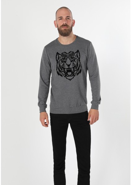 Regular Fit Erkek Antrasit Sweatshirt