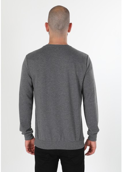 Regular Fit Erkek Antrasit Sweatshirt fiyatları