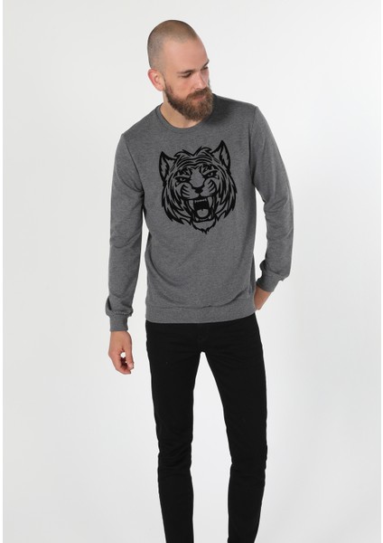 Regular Fit Erkek Antrasit Sweatshirt modelleri