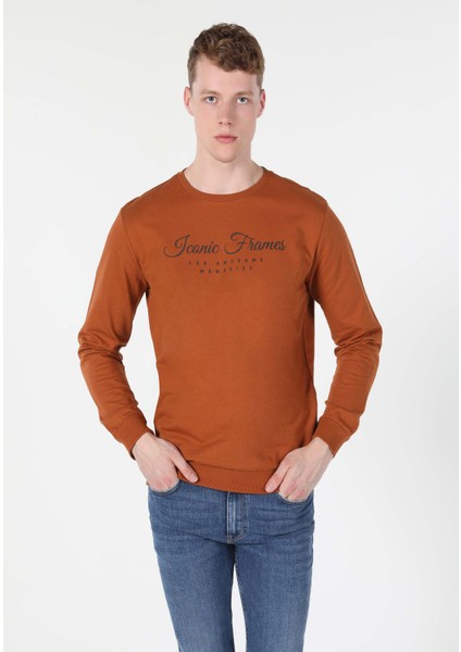 Regular Fit Erkek Kahverengi Sweatshirt