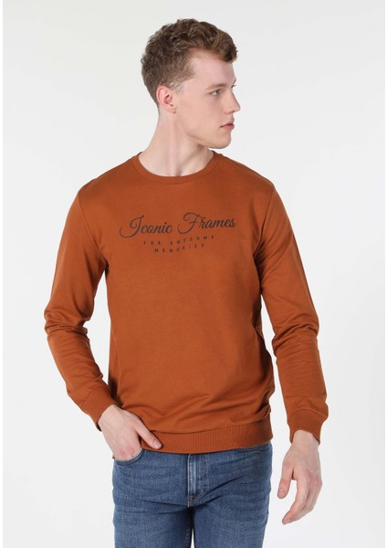 Regular Fit Erkek Kahverengi Sweatshirt fırsatları